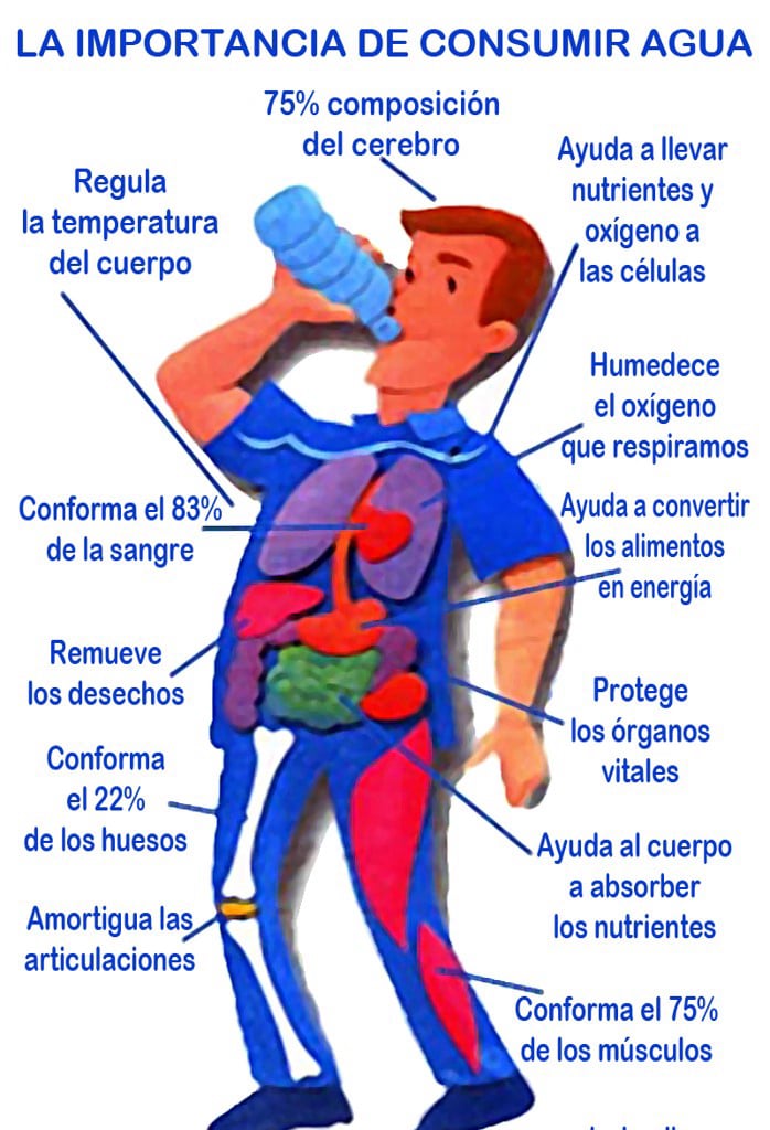 EVITA :             Trastornos gastrointestinales • DISMINUYE : El Cancer de colon • ELIMINA :        Los depósitos de grasa • AYUDA :            Quemar calorías • REDUCE :         La enfermedad cardiaca • PURIFICA :      Purifica los riñones • LA MEJOR :     Mejor forma de hidratar la piel