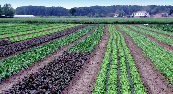 uso agrario VÍAS PRINCIPALES DE PRODUCTOS FARMACÉUTICOS EN EL AGUA