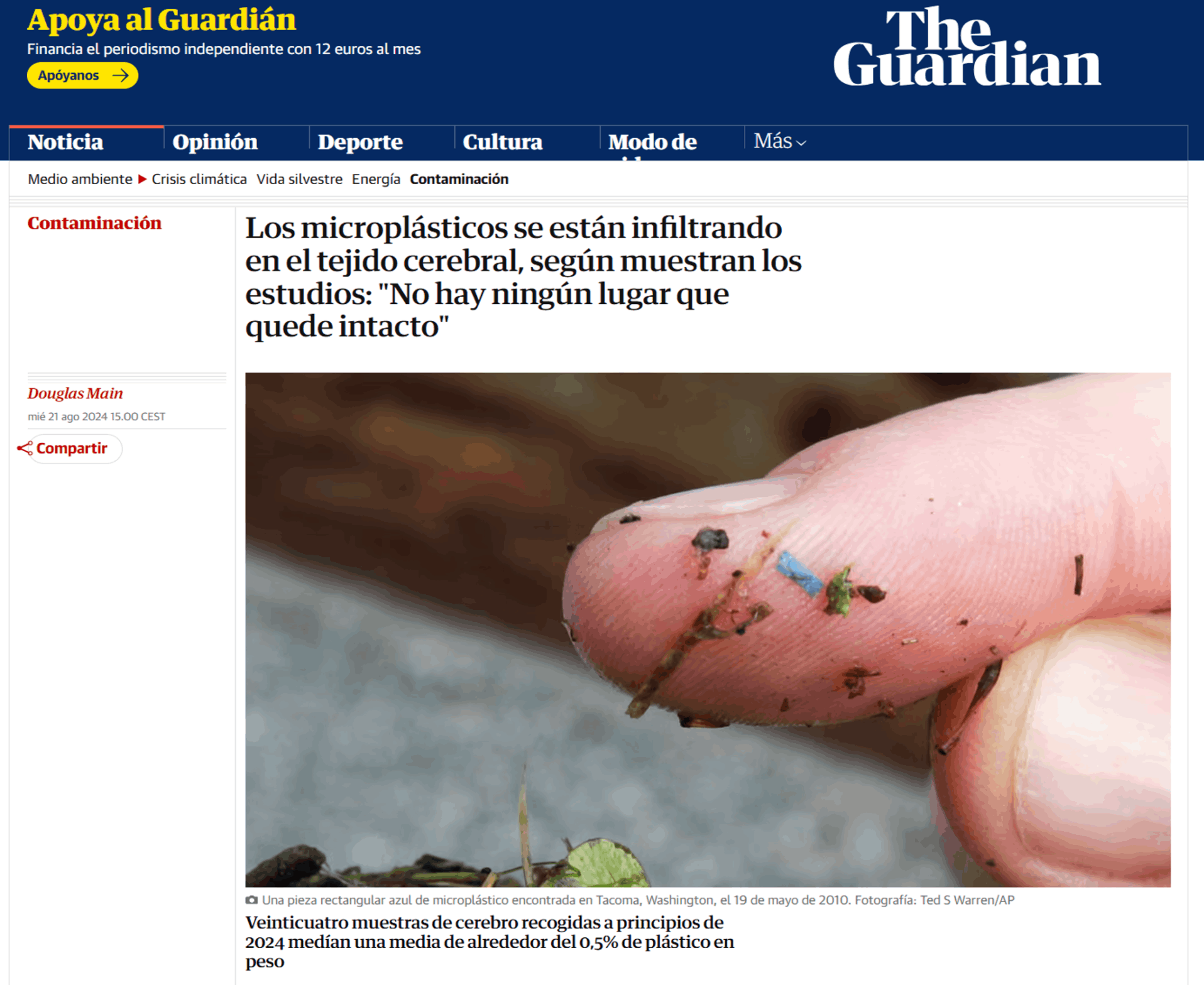 The Guardian  Los microplásticos se están infiltrando en el tejido cerebral, según muestran los estudios:  